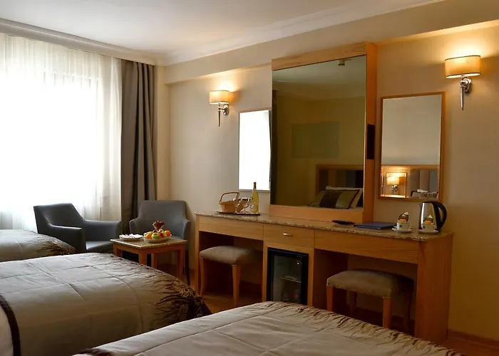 Erden Sarayevo Hotel Istambul